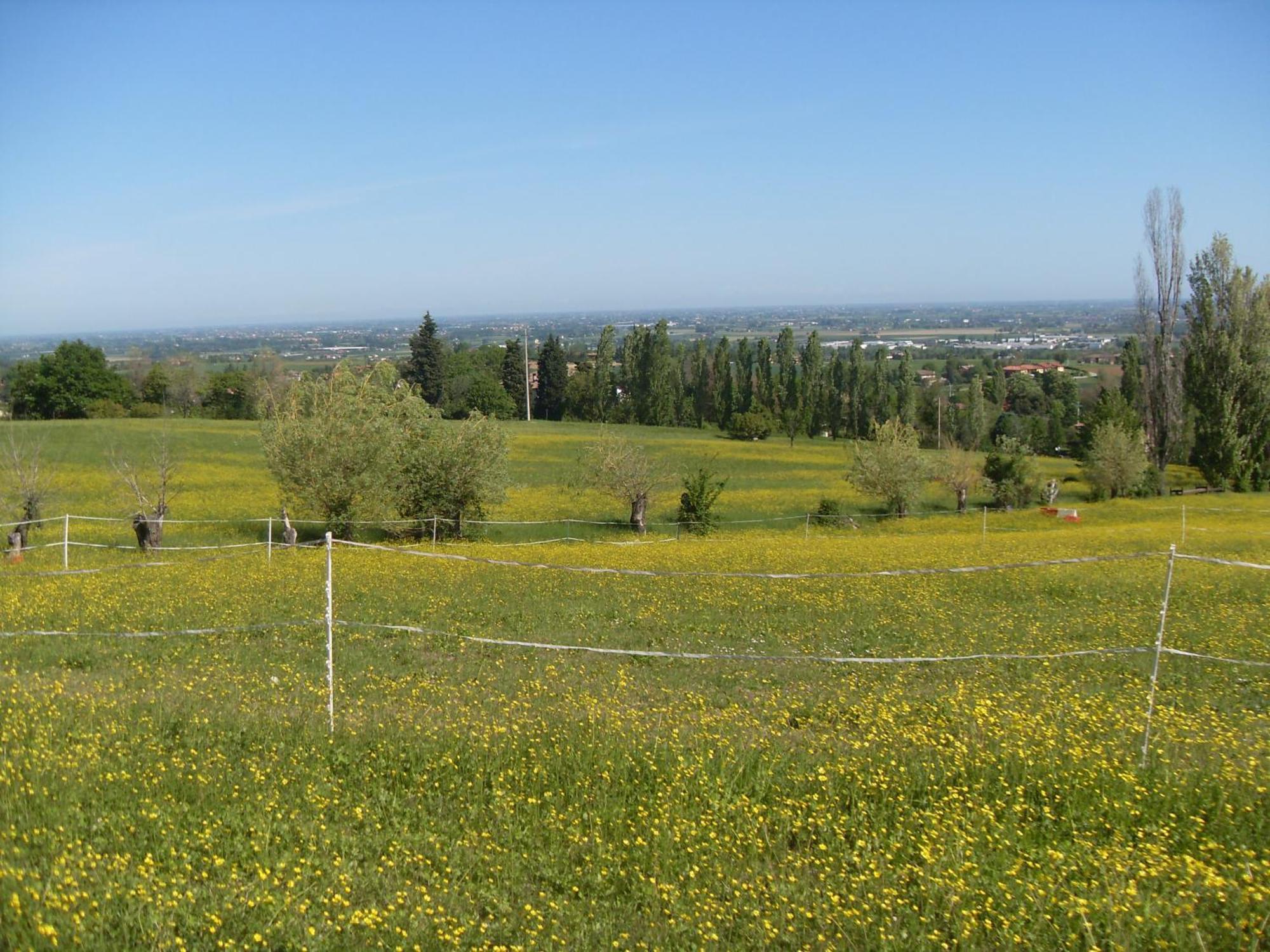 Agriturismo Montevecchio Isolani Monte San Pietro Ngoại thất bức ảnh