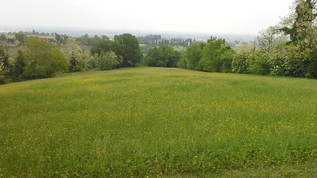 Agriturismo Montevecchio Isolani Monte San Pietro Ngoại thất bức ảnh